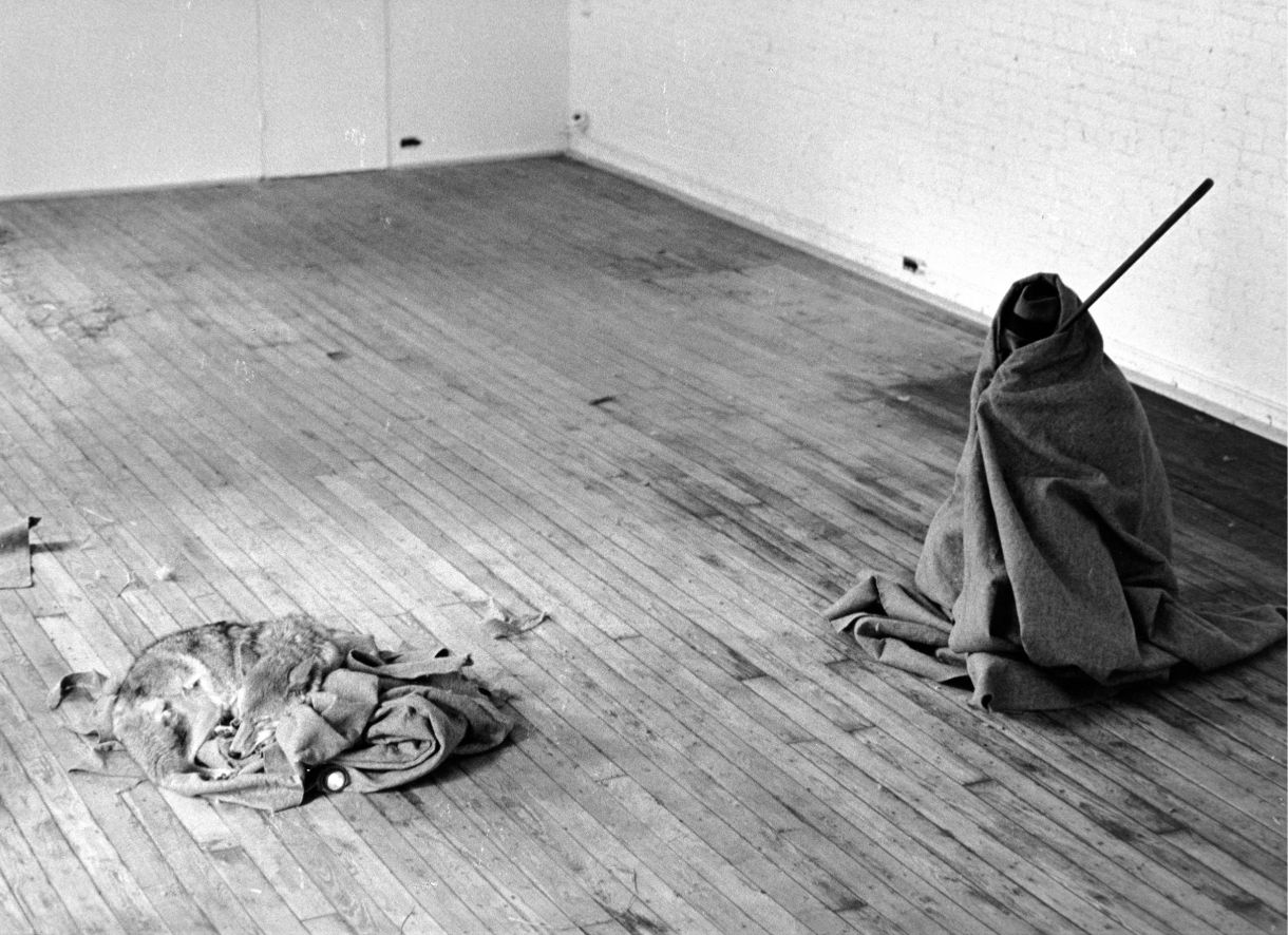Joseph Beuys, “I like America and America likes me”, 1974